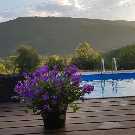 Ferienhaus с басейн и джакузи