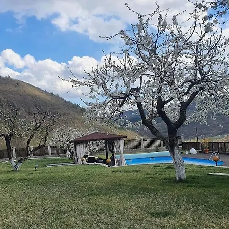 Holiday home с басейн и джакузи