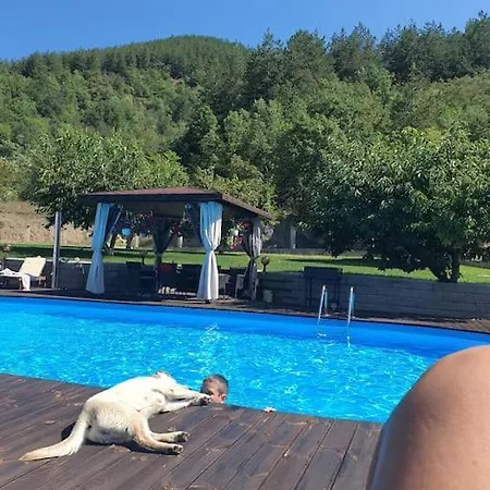 Holiday home с басейн и джакузи *
