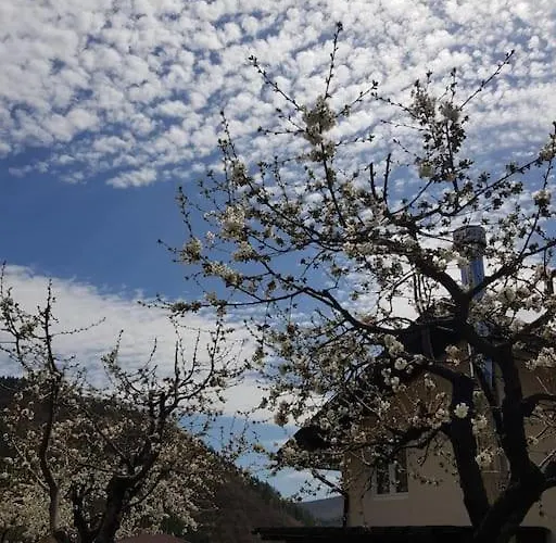 с басейн и джакузи *